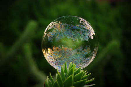 Soap Bubble
