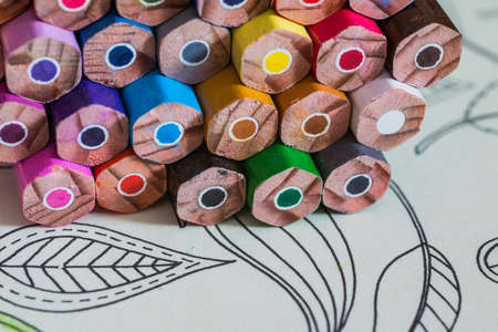 Coloring Book for Adults