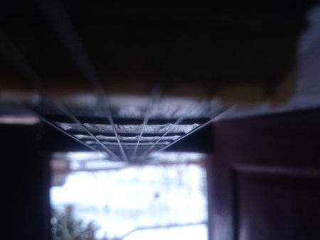 Guitar Strings