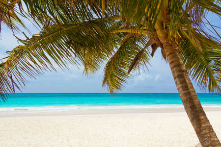 Beach View
