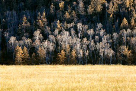 Late Autumn