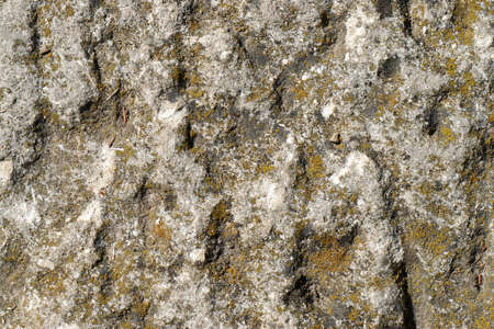 Section of mountain rock with lichens