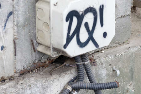 Little mouse under an disaffected electrical box