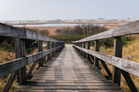wood, stairs, railing, bushes, grass, fields, water, hills, trees, steps