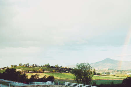 vineyard, farm, country, grass, fields, plains, mountains, sky, clouds, fence, trees, rainbow