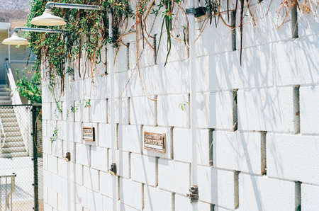 showers, concrete, wall, vines, white