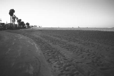 beach, sand, palm trees, water, ocean, sea, footprints, black and white