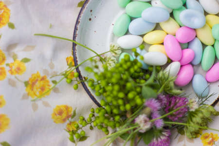 candy, flowers, plants, colors