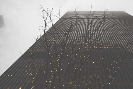 tree, lights, building, tower, architecture