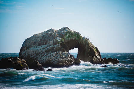 ocean, sea, waves, rocks, coast, birds, sky, sunny