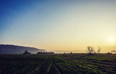 sunset, landscape, field, grass, rural, countryside, sky