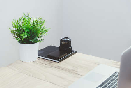 macbook, laptop, computer, technology, desk, office, business, creative, wood, plant, decor, camera,...