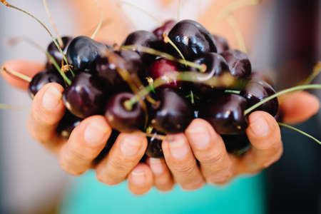 cherry, cherries, fruits, hands, food, healthy