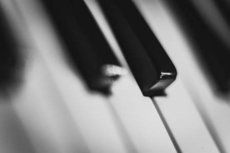 piano, keys, music, instrument, black and white