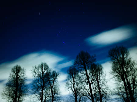 stars, galaxy, space, astronomy, night, dark, evening, trees, forest, woods, nature, sky