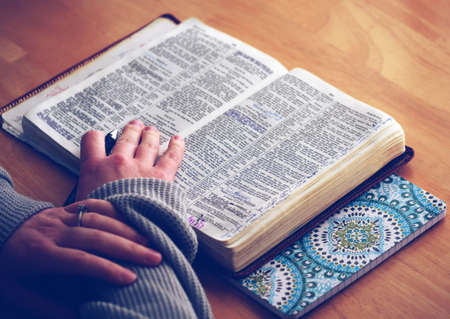 book, bible, religion, reading, study, learning, education, hands