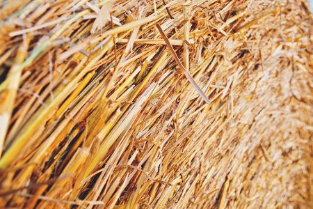 haystack, hay, farm, nature