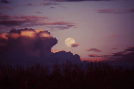 moon, sunset, dusk, sky, trees, clouds, forest, woods, nature, landscape, night, evening