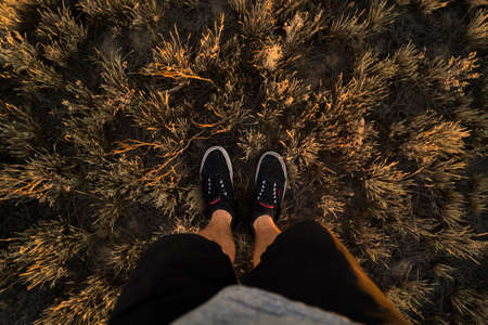 guy, man, male, people, feet, legs, shoes, sneakers, shorts, grass, nature, travel, green