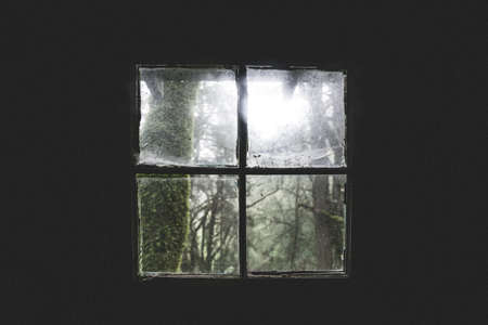 house, home, cabin, old, decrepit, window, panes, squares, view, nature, trees, minimalist