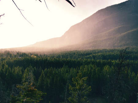 nature, landscape, mountains, summit, peaks, forests, trees, fog, clouds, ominous