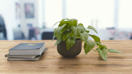 office, work, business, workspace, table, desk, journals, notebooks, plant, pot, leaves, bokeh,...