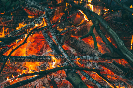 still, camp, fire, flames, hot, burning, wood, charred, ashes, light, shadows