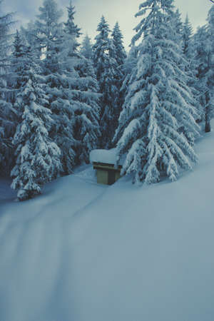 nature, blanket, snow, forest, trees, pine, cottage, cabin, white