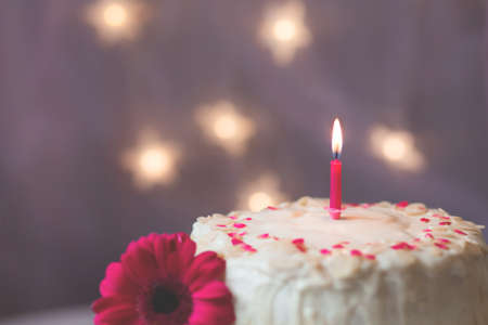 events, birthday, cake, food, delicious, candle, flower, lights, still, bokeh, party