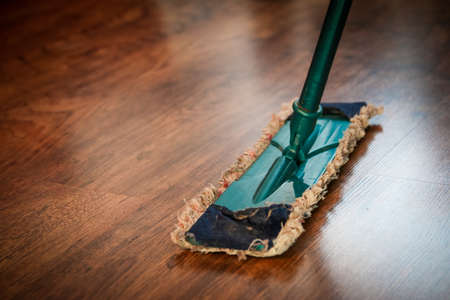mop, sweeping, cleaning, hardwood, floors, house, maid