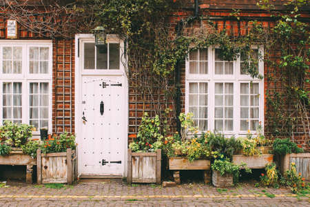 house, home, door, sidewalk, cobblestone, bricks, vines, plants, city