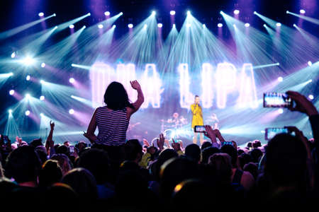 concert, singer, singing, stage, lights, spotlight, crowd, people, girls, guys, music, band,...