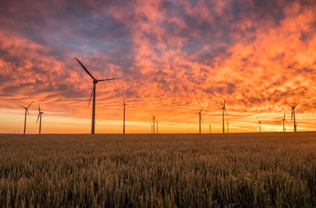 farm, field, windmill, nature, sunset, sunlight, sunshine, sky, clouds, orange