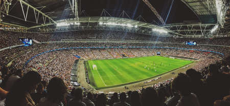 green, field, football, sport, game, crowd, people, audience, men, women, kids, event, stadium,...