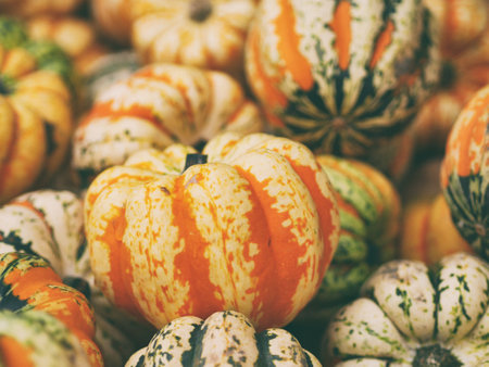 squash, vegetable, orange, pumpkin, halooween