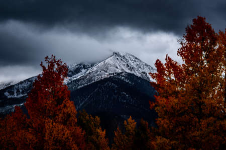 cloud, fogs, snow, winter, cold, autumn, mountain, valley, trees, landscape, nature