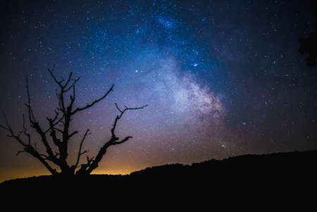 dark, night, sky, stars, galaxy, nature, tree, mountain