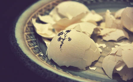 plate, egg, shell, white, broken, art, drawing