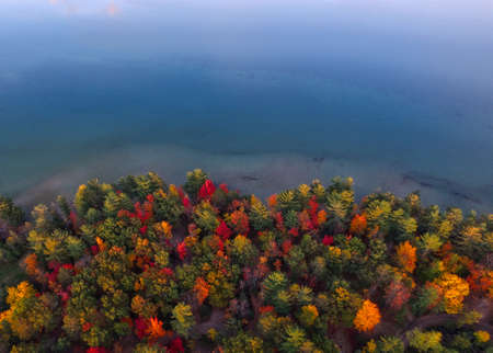 trees, clolorful, aerial, view, plant, forest, nature, fall, autumn, road, sea, ocean, blue, water,...