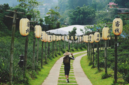 green, grass, trees, plant, nature, field, farm, garden, pathway, wood, lantern, people, man,...