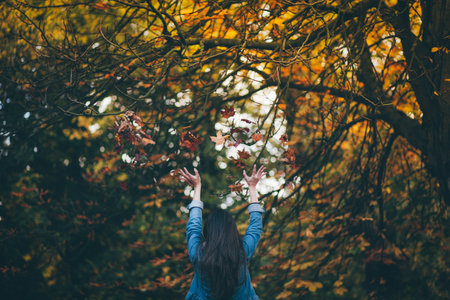 people, woman, girl, tree, plant, nature, autumn, fall