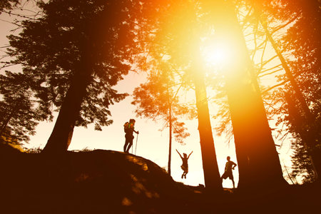 mountain, hiking, climbing, people, girls, man, adventure, outdoor, trees, plants, nature,...