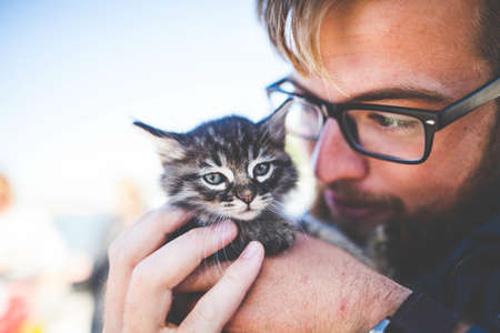 people, man, eyeglasses, kitten, cat, pet, animal