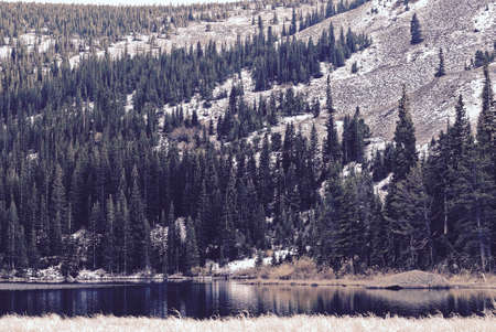 highland, mountain, nature, landscape, trees, plant, lake, water, grass