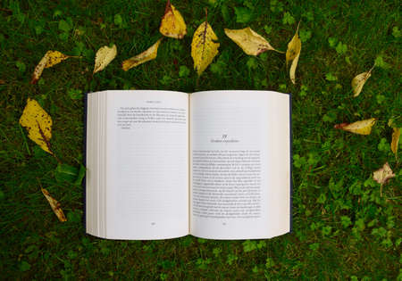 book, reading, study, school, green, grass, outdoor, leaf
