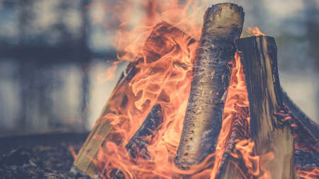 fire, flame, burn, firewood, light, heat