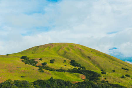 highland, grassland, green, grass, trees, plant, nature, sky, clouds