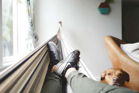 hammock, people, man, shoe, footwear, dog, pet, animal, couch, house, window