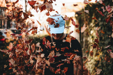 people, man, tree, leaves, fall, autumn, blur