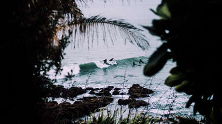 sea, ocean, water, waves, nature, trees, plant, rocks, coast, people, swimming, sport, surfing